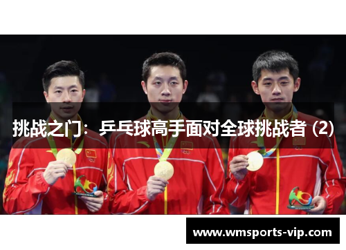 挑战之门：乒乓球高手面对全球挑战者 (2)