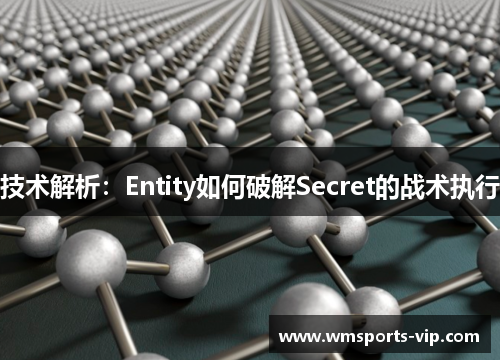 技术解析：Entity如何破解Secret的战术执行